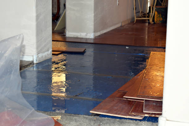 Professional Basement Flood Cleanup technician working in Swarthmore, PA